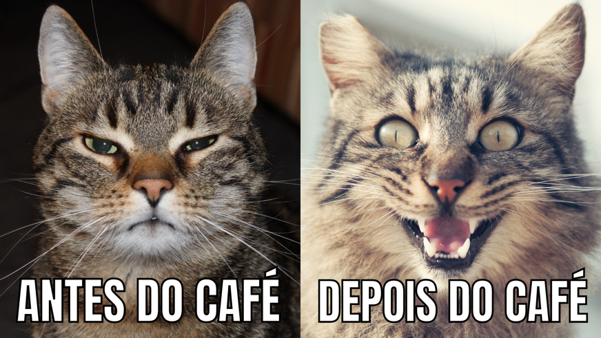 Imagem de um gato emburrado com a legenda “antes do café” e um gato sorridente ao lado com a legenda “depois do café”